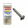 Fasteners Champion Self Tapping Pan Head Screws 10g X 1/2
